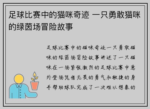 足球比赛中的猫咪奇迹 一只勇敢猫咪的绿茵场冒险故事