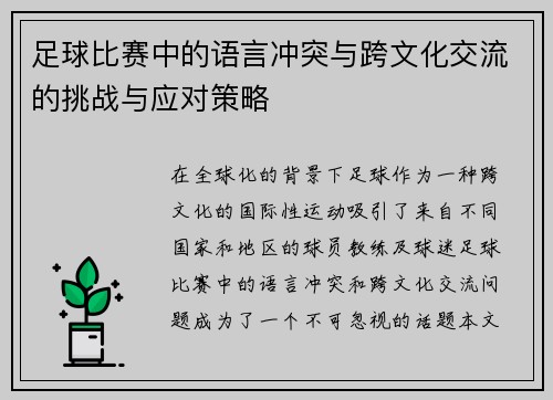 足球比赛中的语言冲突与跨文化交流的挑战与应对策略