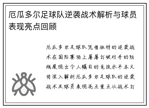 厄瓜多尔足球队逆袭战术解析与球员表现亮点回顾