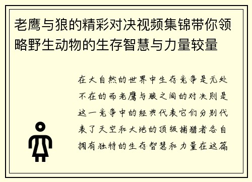 老鹰与狼的精彩对决视频集锦带你领略野生动物的生存智慧与力量较量