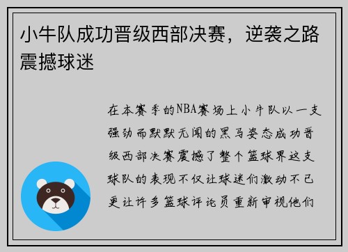 小牛队成功晋级西部决赛，逆袭之路震撼球迷